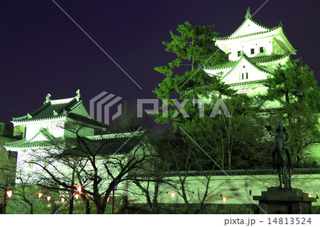 3月岐阜 大垣城・天守閣ライトアップ 14813524