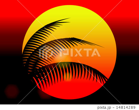 summer holiday sunset and coconut tree 14814289