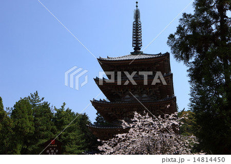 醍醐寺の五重塔 醍醐寺の五重塔 14814450