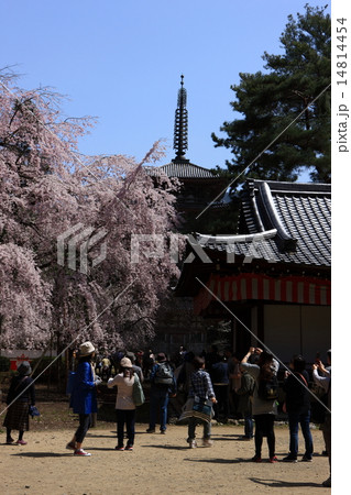 醍醐寺の五重塔 醍醐寺の五重塔 14814454