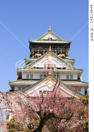 大阪城 14814648