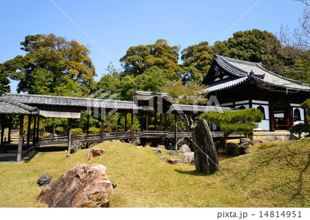 京都 高台寺の庭園 京都 高台寺の庭園 14814951