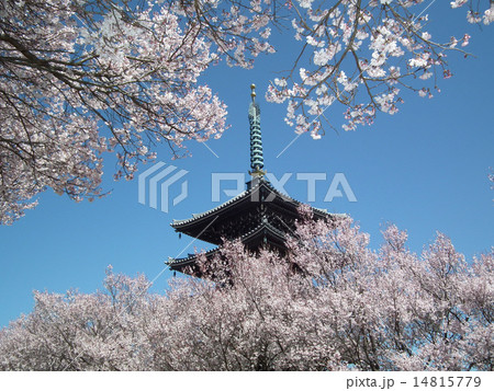 香林寺　五重塔 14815779