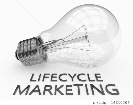 Lifecycle Marketing Lifecycle Marketing 14816307