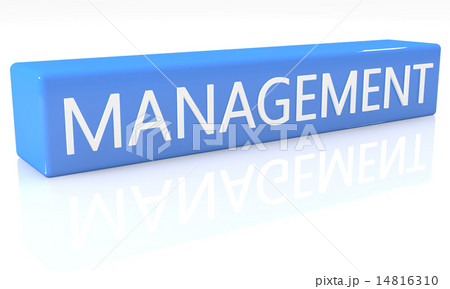 Management Management 14816310
