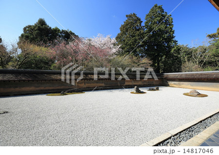龍安寺 石庭 龍安寺 石庭 14817046