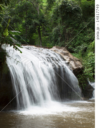 Mae Sa Waterfalls Mae Sa Waterfalls 14817749