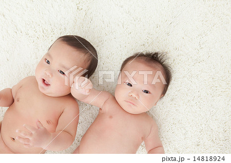 2 months old & 6 months old 14818924