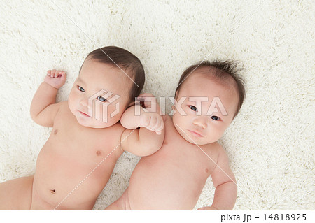 2 months old & 6 months old 14818925