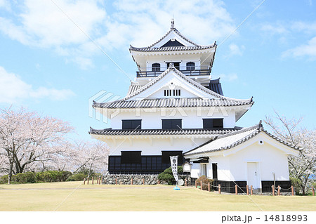 春の館山城 14818993