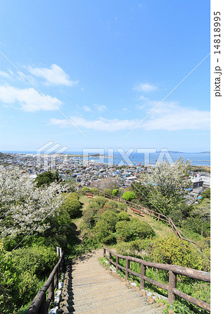 館山・城山公園 館山・城山公園 14818995