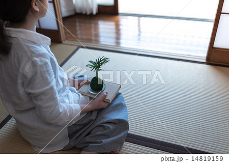 和室の女性 14819159