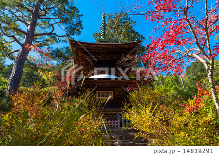 紅葉の常寂光寺 紅葉の常寂光寺 14819291