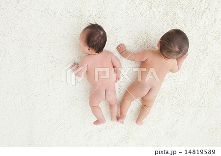 2 months old & 6 months old 14819589
