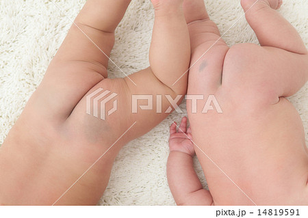 2 months old & 6 months old 14819591