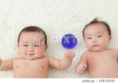 2 months old & 6 months old 14819592