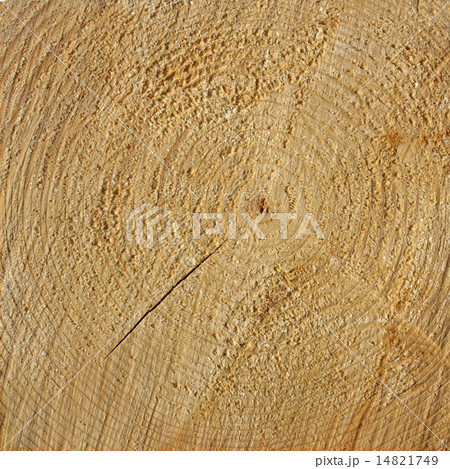Wood rings 14821749