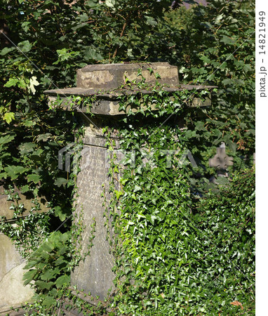 Gothic tomb Gothic tomb 14821949