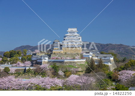 春の姫路城 14822250