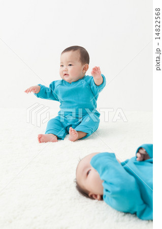 2 months old & 6 months old 14822568