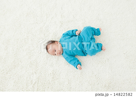 2 months old 2 months old 14822582