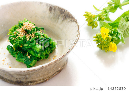 菜の花のお浸し 菜の花のお浸し 14822830