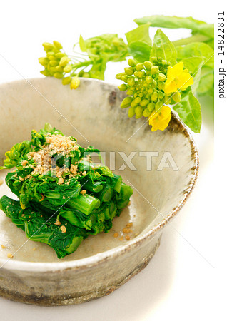 菜の花のお浸し 菜の花のお浸し 14822831