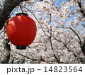 お祭りの提灯 14823564