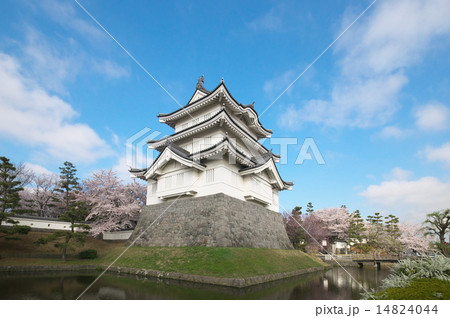 忍城 忍城 14824044