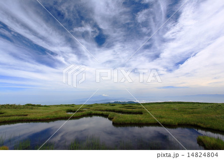 月山弥陀ヶ原湿原 14824804