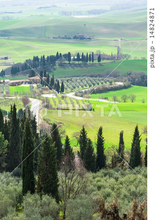 イタリア トスカーナの田園風景 イタリア トスカーナの田園風景 14824871