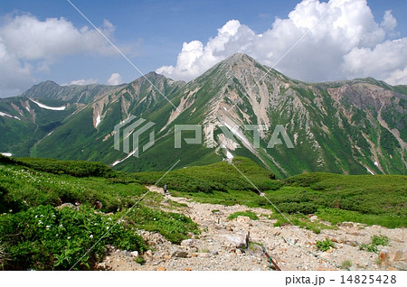 日本百名山・鷲羽岳 14825428