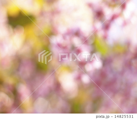 Abstract Blurred background Abstract Blurred background 14825531