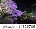 桜のライトアップ 14826786