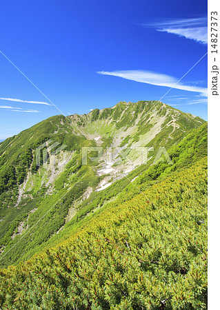 夏の南アルプス仙丈ヶ岳 14827373
