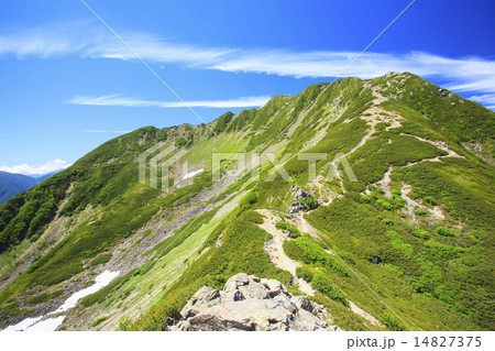 夏の南アルプス仙丈ヶ岳 14827375