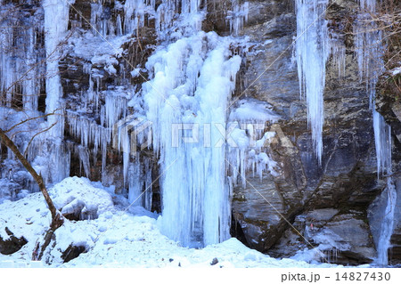 埼玉県秩父市にある三十槌の氷柱 埼玉県秩父市にある三十槌の氷柱 14827430