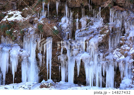 埼玉県秩父市にある三十槌の氷柱 14827432