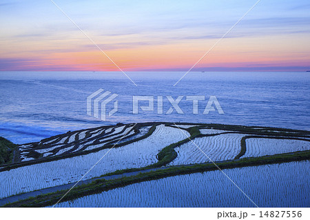 白米千枚田の夕焼け 14827556