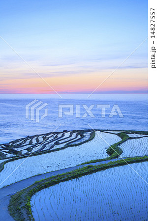 白米千枚田の夕焼け 14827557