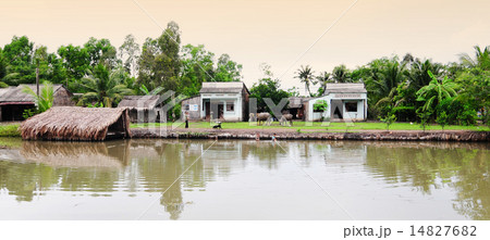 Rural scenery in Mekong delta, Vietnam 14827682