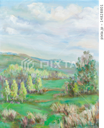 The native land open spaces 14828801