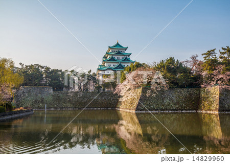 春の名古屋城 14829960