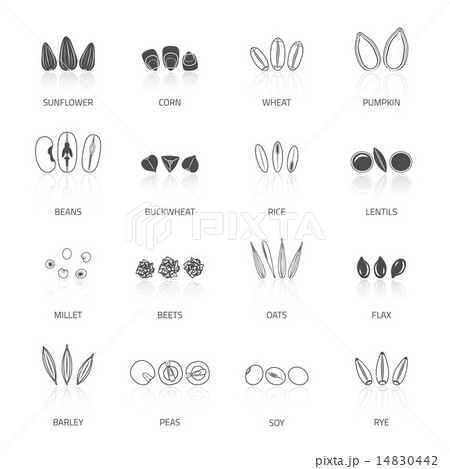 Seed Icon Set 14830442