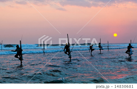 Silhouettes of the traditional stilt fishermen 14830681