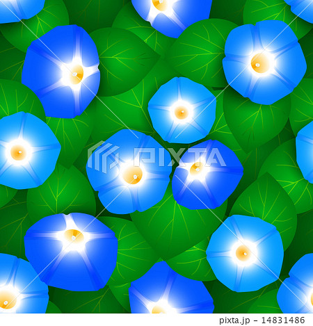 Seamless pattern with ipomoea flowers 14831486