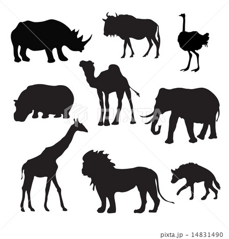 Wild African Animals Black 14831490