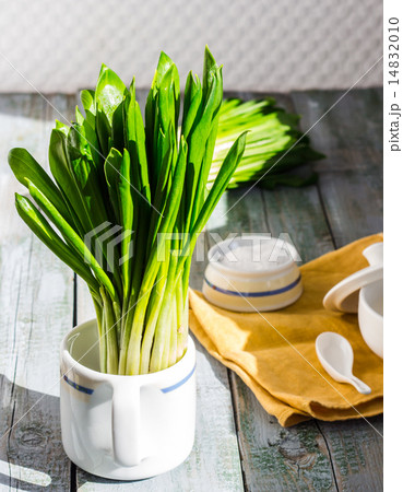 Ramson with sour cream and salt to the light board 14832010