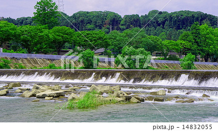 初夏の広瀬川(宮城県仙台市) 初夏の広瀬川(宮城県仙台市) 14832055