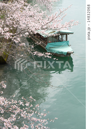 桜と小舟 14832068